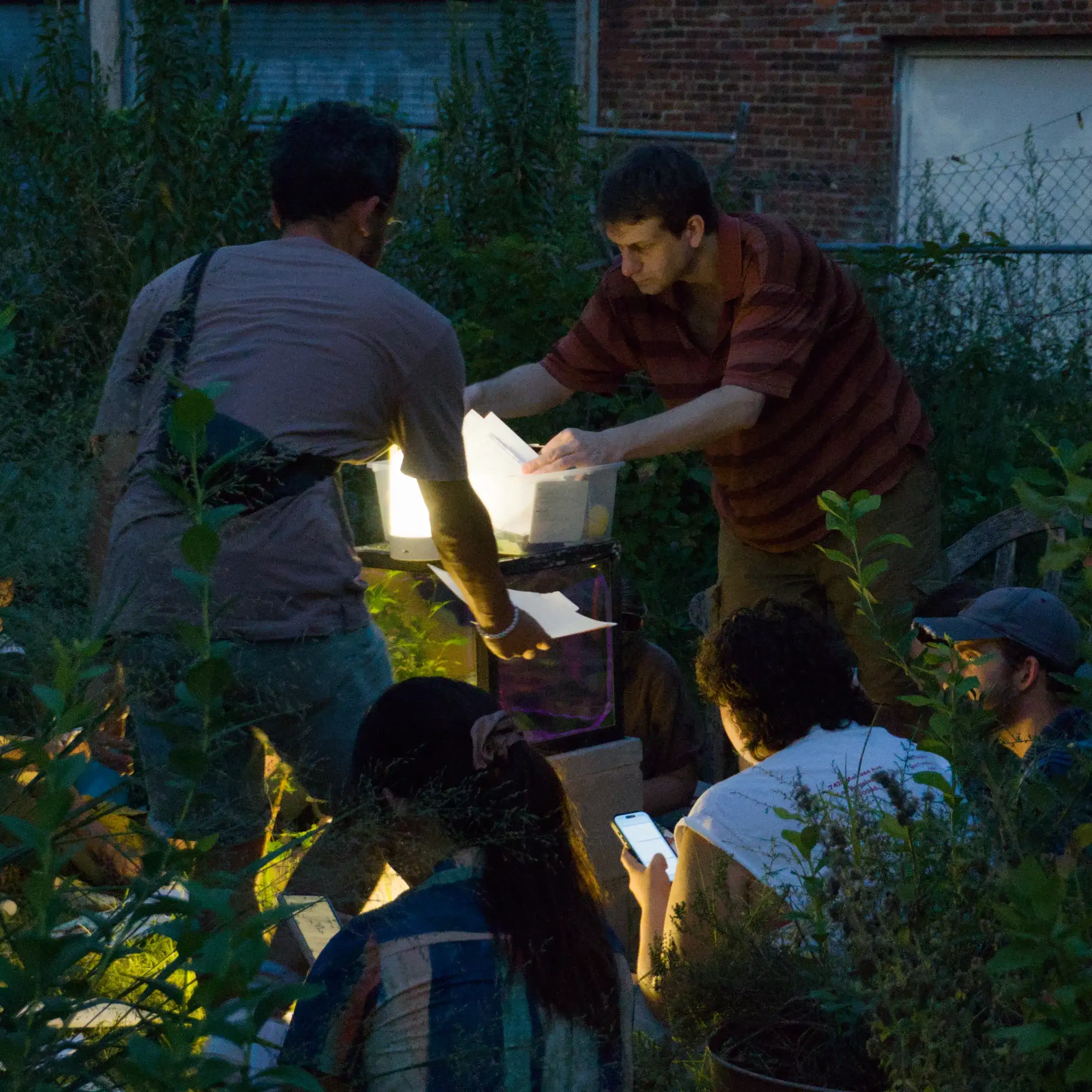 Two people handing out papers from a lamp-lit bin to a group gathered among the garden's plants at dusk